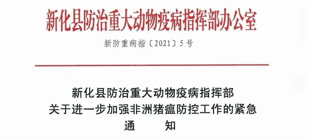 中国养猪网