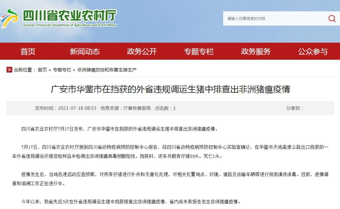 中国养猪网