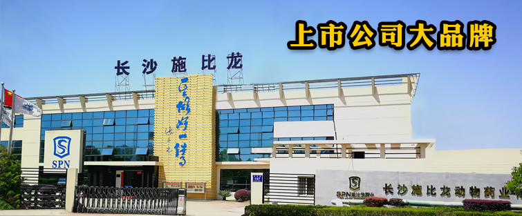 施比龙上市公司大品牌