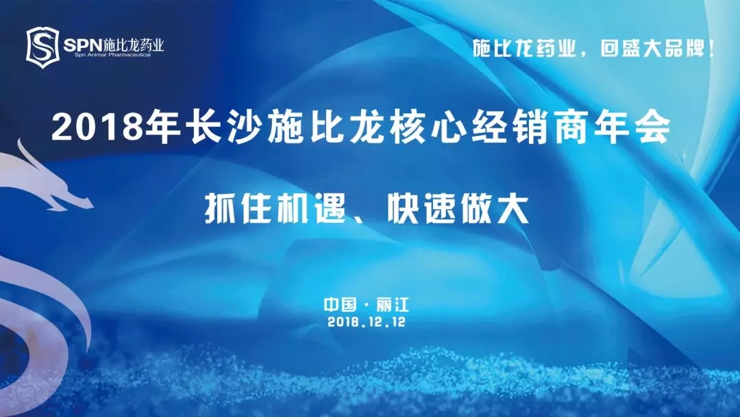 热烈庆祝2018年长沙施比龙核心经销商年会顺利召开！